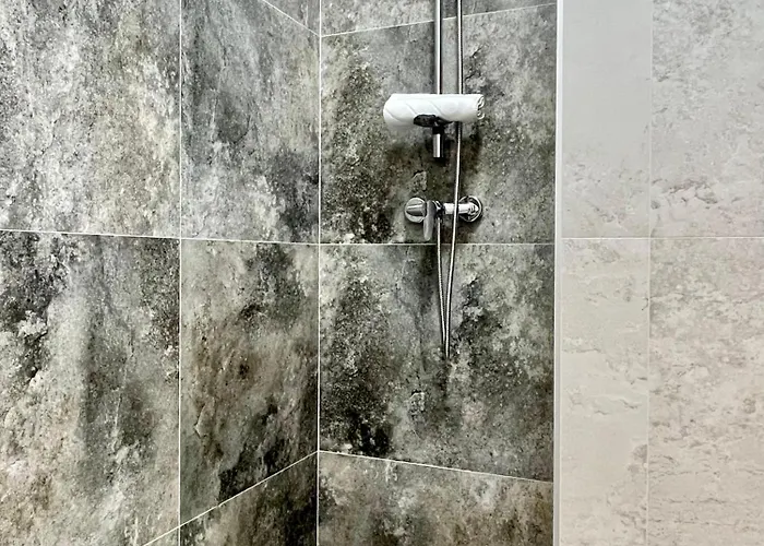 No 604 بوخارست